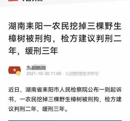 樟树市最新犯罪记录（樟树市最新犯罪记录名单）