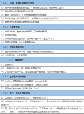 最新人身伤害等级（最新人身伤害等级划分）