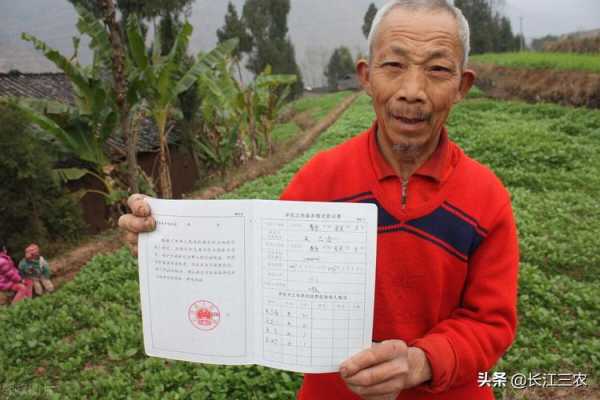 最新林地承包期限（最新林地承包期限是多久）