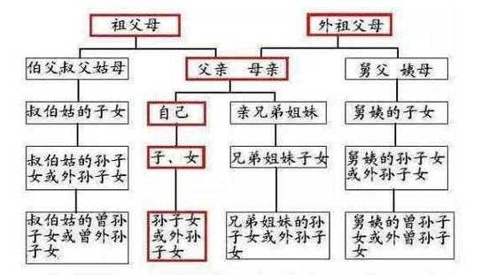 最新近亲结婚（近亲结婚范围图）