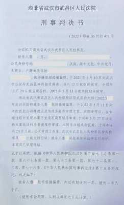 湖北省量刑规范最新（湖北省量刑意见）