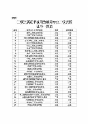 最新三级资质（最新三级资质企业名单）