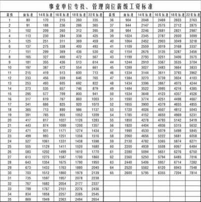 事业单位工资最新表（最新事业单位工资对照表）