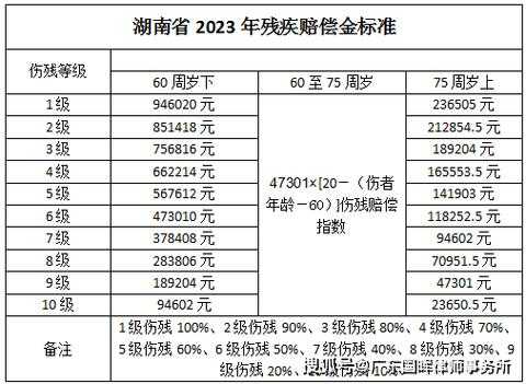 湖南省最新交通事故赔偿标准的简单介绍