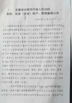 法院查封公告最新格式（法院查封房产的公告样式）