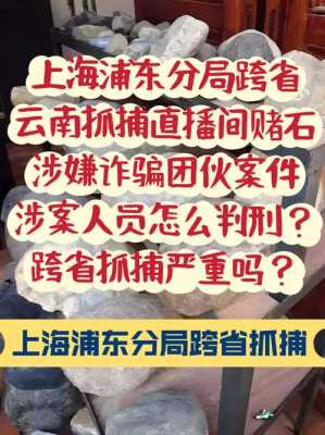 最新抓捕诈骗（最新抓捕诈骗电话）