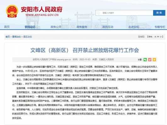 河南省最新禁令（河南省人民政府禁放令）