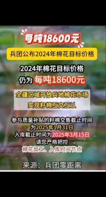 山东棉花补贴最新消息（山东棉花补贴最新消息公布）