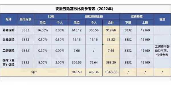 安徽社保那五险最新（安徽2020年职工五险缴费标准）