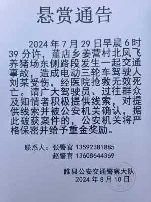 追逃逸者致死最新（追肇事逃逸）