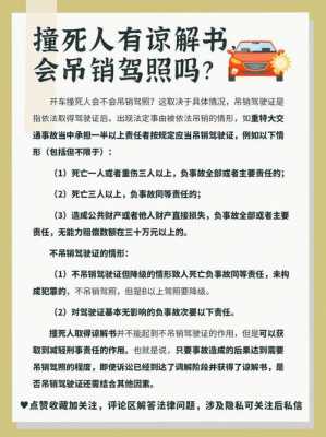 最新开车撞死人（最新开车撞死人判多少年）