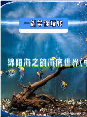 绵阳海能海洋最新动态（绵阳海能海洋赔款了吗）